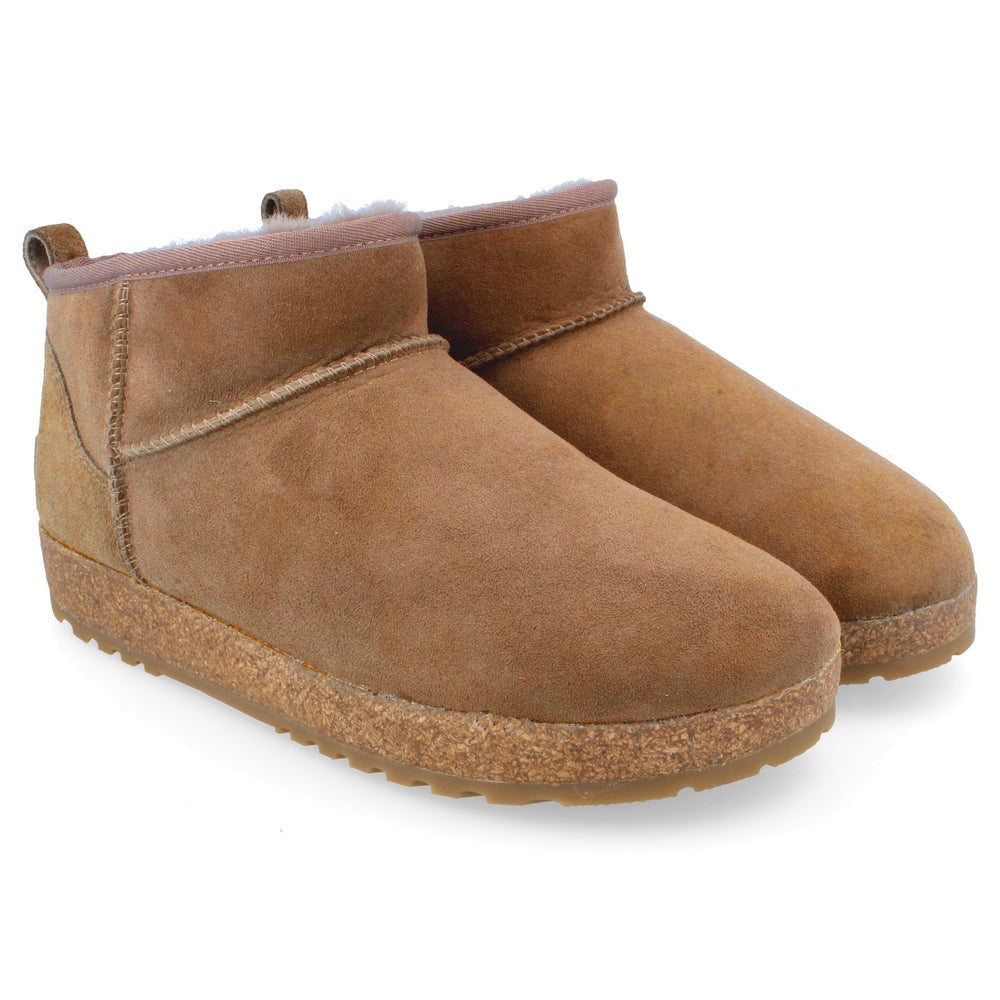Haflinger Canada ELSA - FALL 25 | CHESTNUT